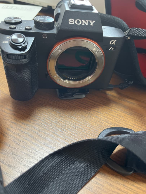 Sony Mirrorless Interchangeable Lips 7 Ii