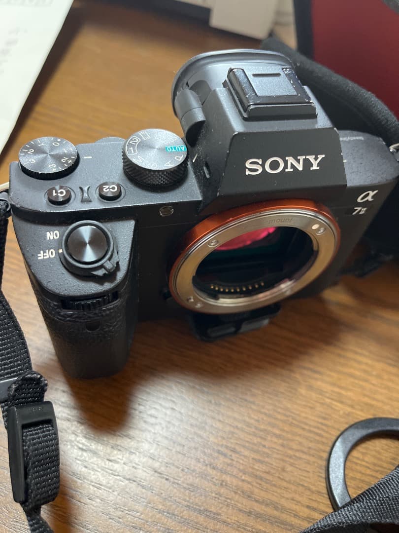 Sony Mirrorless Interchangeable Lips 7 Ii