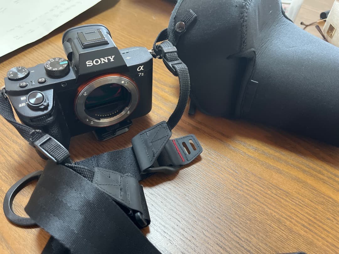 Sony Mirrorless Interchangeable Lips 7 Ii