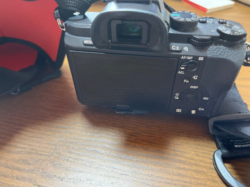 Sony Mirrorless Interchangeable Lips 7 Ii
