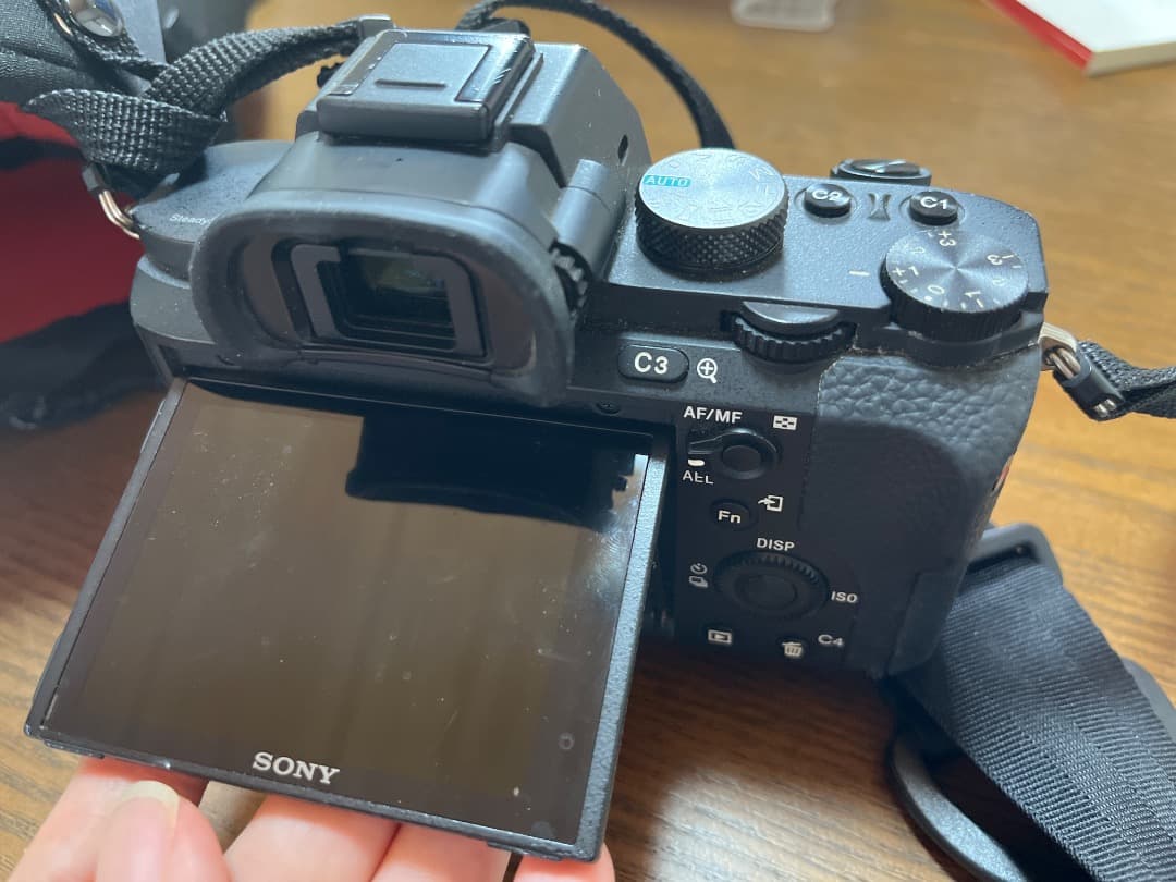 Sony Mirrorless Interchangeable Lips 7 Ii