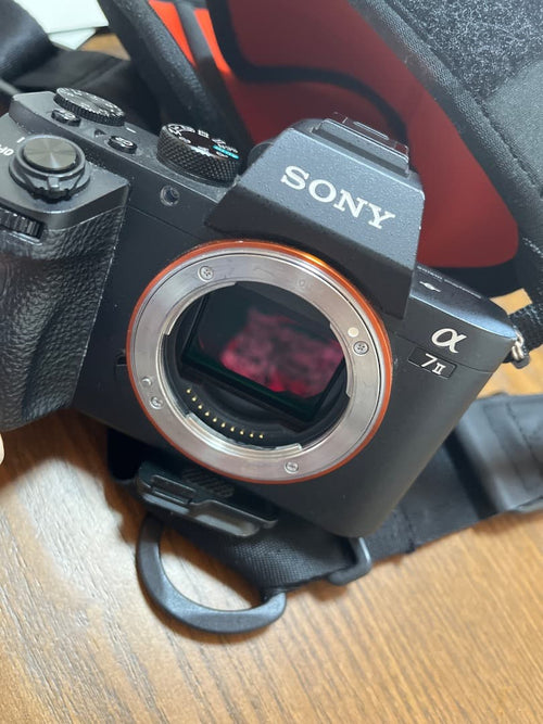 Sony Mirrorless Interchangeable Lips 7 Ii