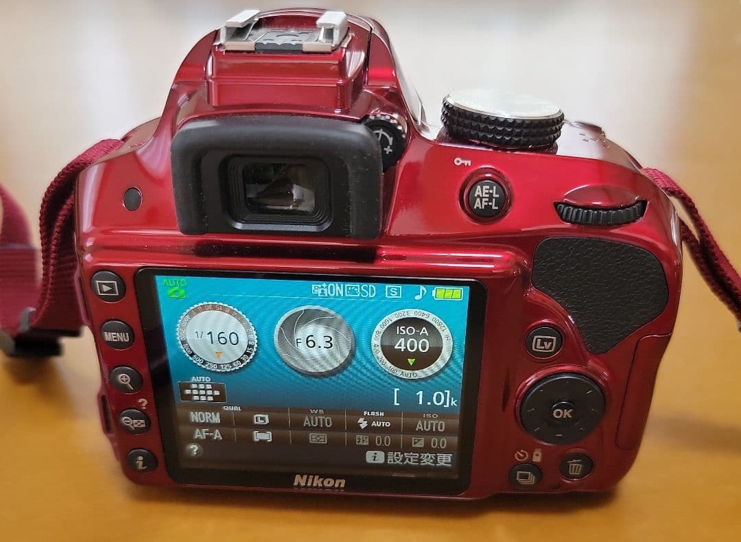 Nikon Digital Slr