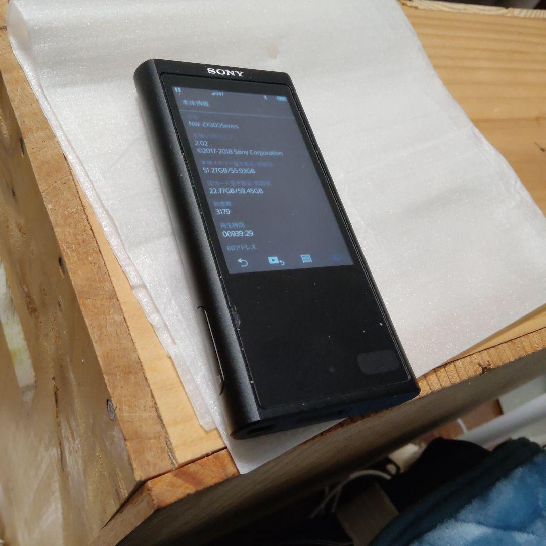 Sony Digital Audio Player Walkman Nw-Zx300