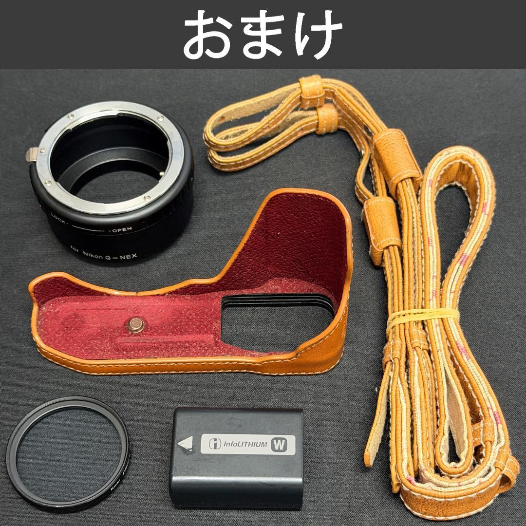 Sony Mirrorless Interchangeable Lens Cameras Nex-3Nl