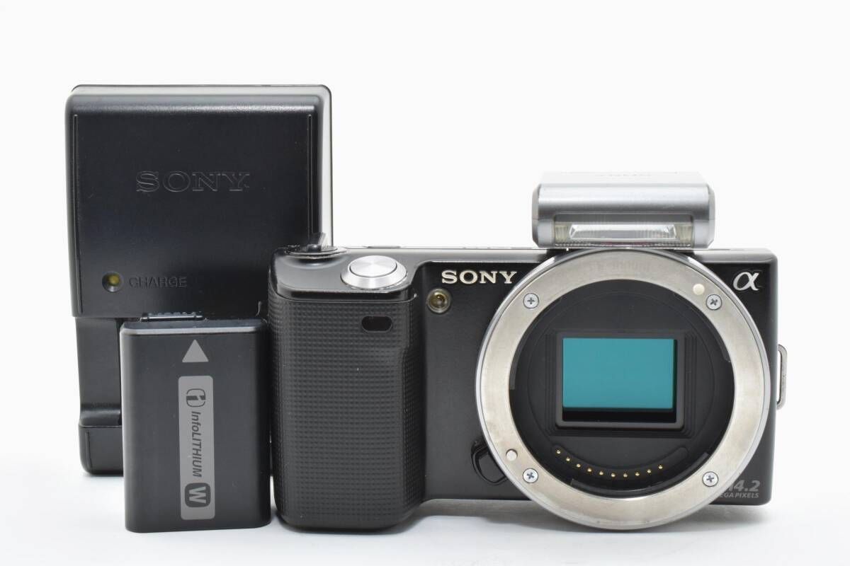 Sony Mirrorless Interchangeable Lips 20461 Nex-5 #K418-6