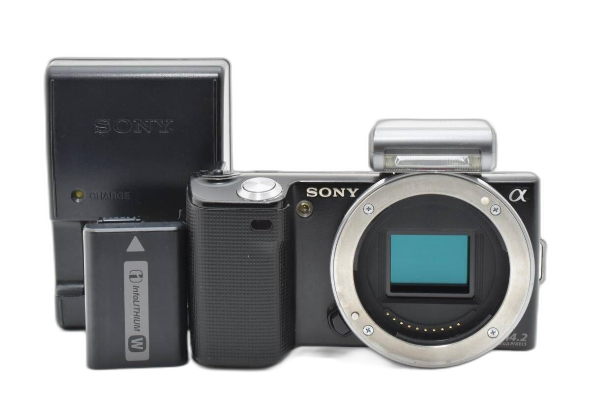 Sony Mirrorless Interchangeable Lips 20461 Nex-5 #K418-6