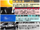 Window Film Car (B) E-Tron Gt 3Fwebgs Fwebge