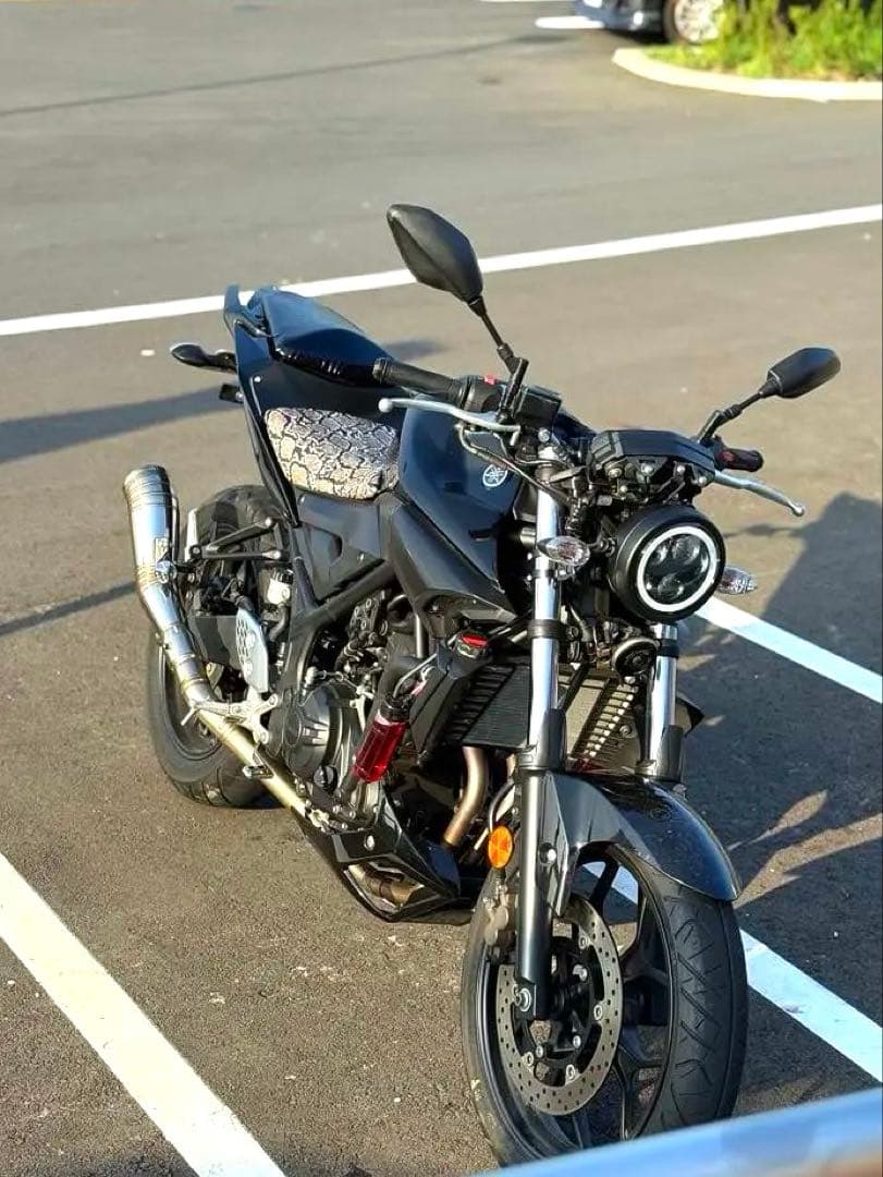 Yamaha Motorcycle Frames Mt-25 250Cc 28