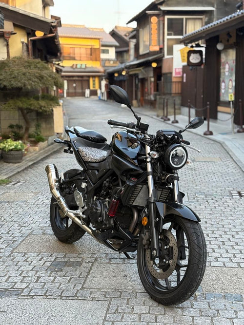 Yamaha Motorcycle Frames Mt-25 250Cc 28