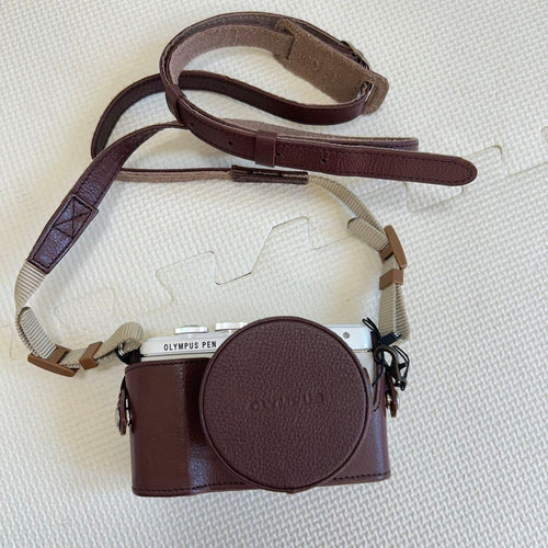 Olympus Mirrorless Interchangeable Lens Cameras 7