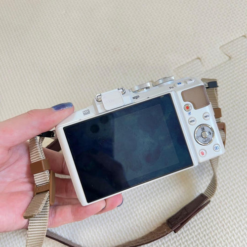 Olympus Mirrorless Interchangeable Lens Cameras 7