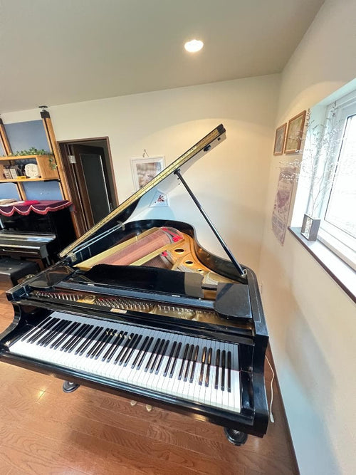 Yamaha Grand Piano 88