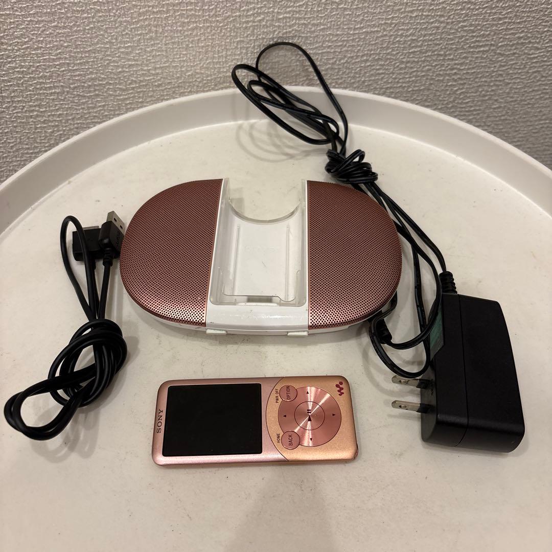 Sony Digital Audio Player Nw-S754