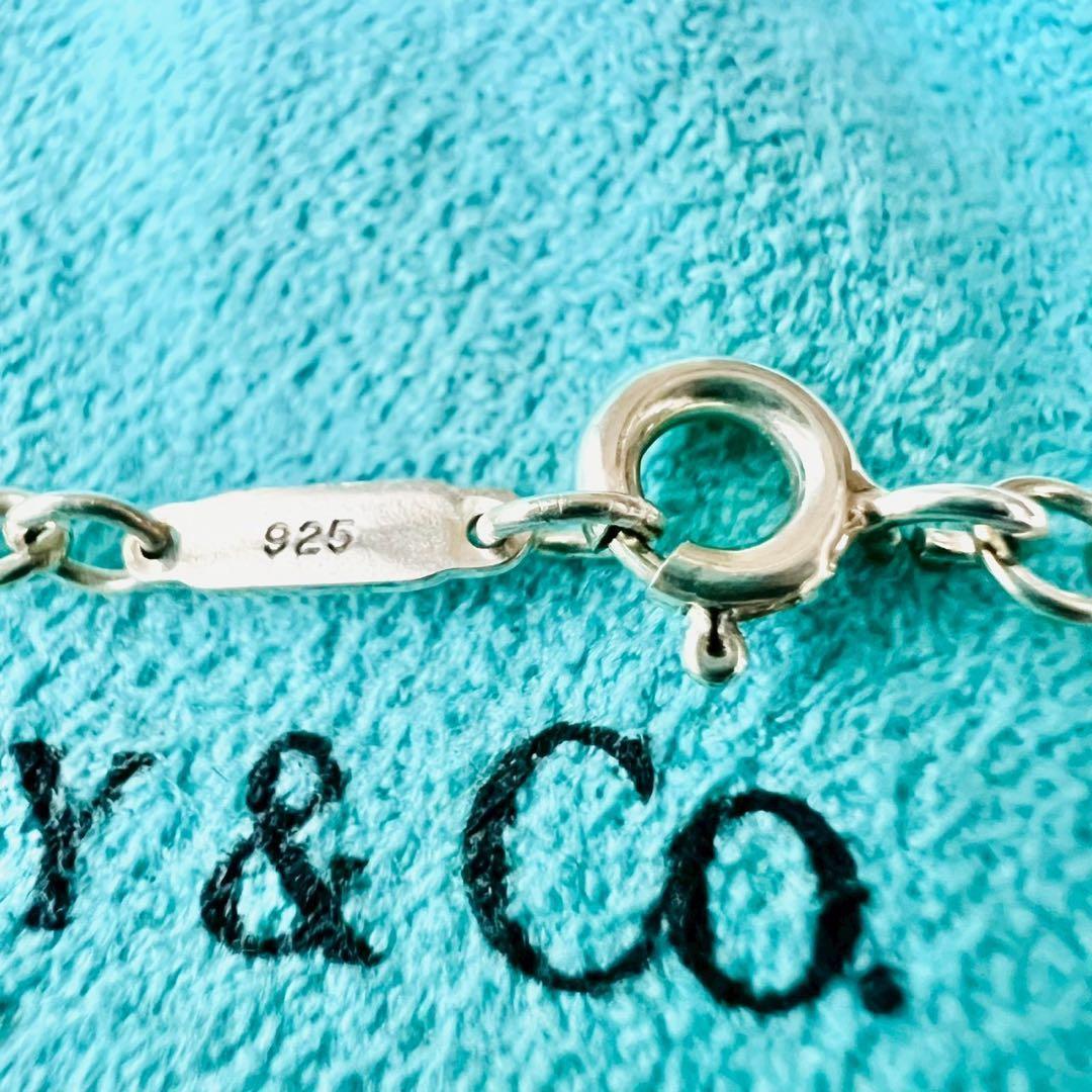 Tiffany Necklaces 1P