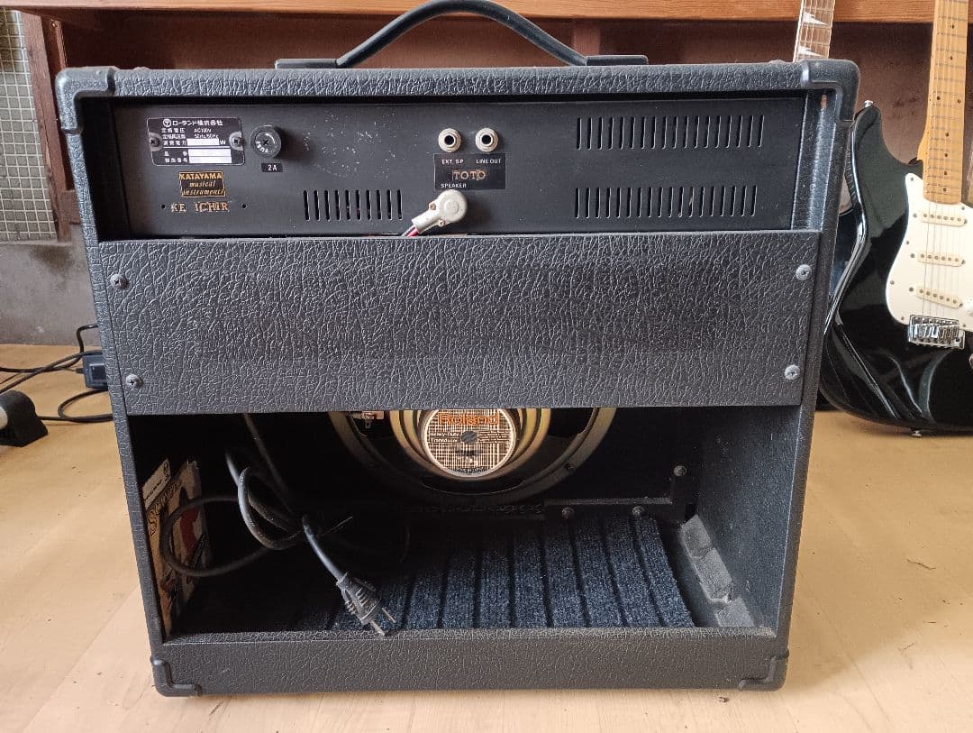 Roland Guitar Amplifiers Bolt-30