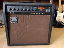 Roland Guitar Amplifiers Bolt-30