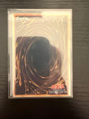 Yu-Gi-Oh! Ocg Duel Monsters (Japanese)