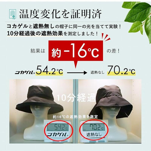 Hat [Vitafelice] Aroco Smh-30173Z 1
