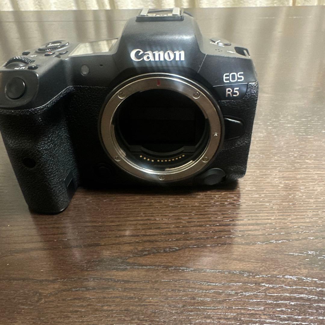 Canon Mirrorless Interchangeable Lens Cameras Eos R5