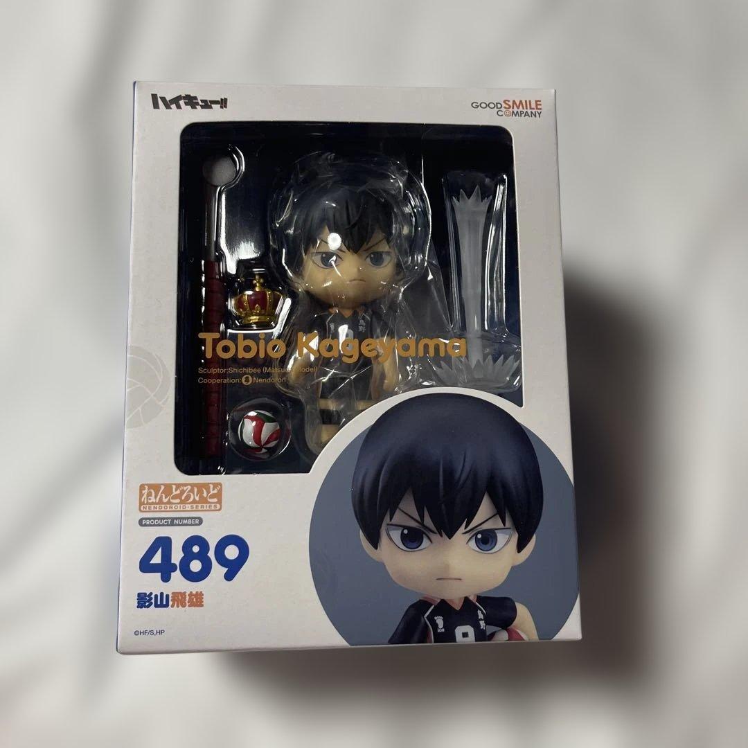 Good Smile Company Other 489