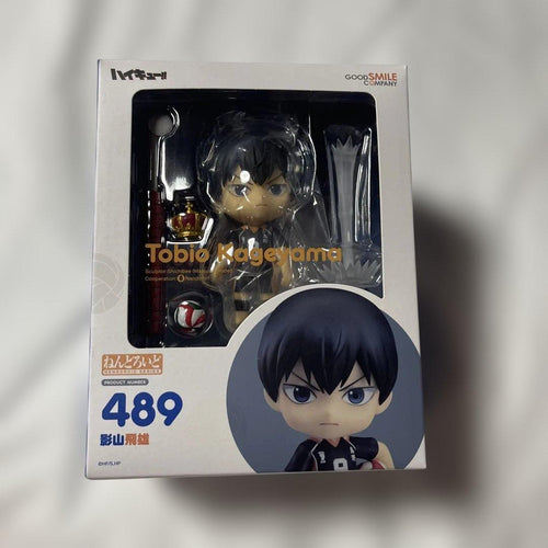 Good Smile Company Other 489