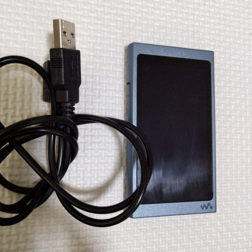 Sony Digital Audio Players Walkman Nw-A45 16Gb