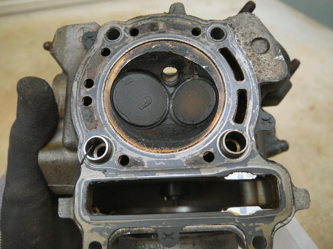 Yamaha Motor Engine Cooling 250