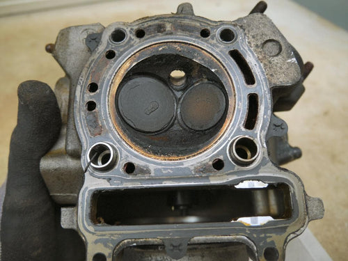 Yamaha Motor Engine Cooling 250