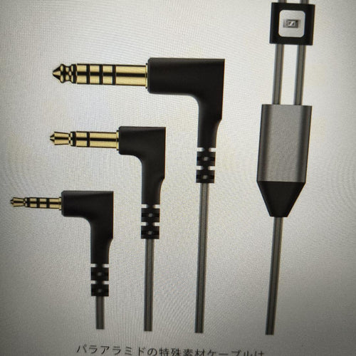 Sennheiser Wired Earphones Ie 900