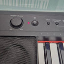 Yamaha Keyboards Digital Pianos Piaggero Np-11 61