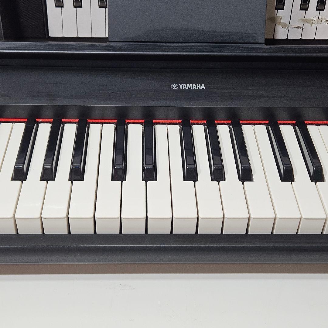 Yamaha Keyboards Digital Pianos Piaggero Np-11 61