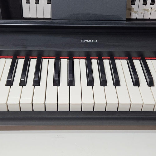 Yamaha Keyboards Digital Pianos Piaggero Np-11 61