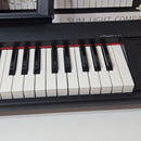 Yamaha Keyboards Digital Pianos Piaggero Np-11 61