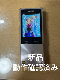 Sony Digital Audio Player Nw-A16