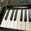 Korg Keyboards Digital Pianos Grandstage Gs1-88 88