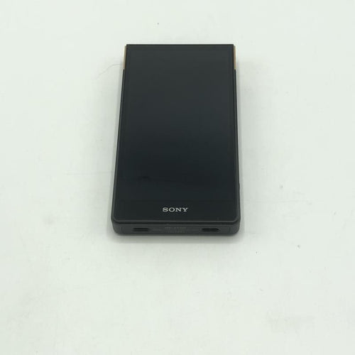 Sony Digital Audio Player Nw-Zx707 64Gb[10]