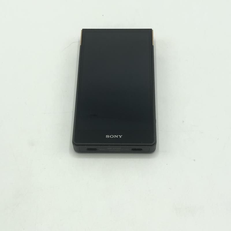 Sony Digital Audio Player Nw-Zx707 64Gb[10]