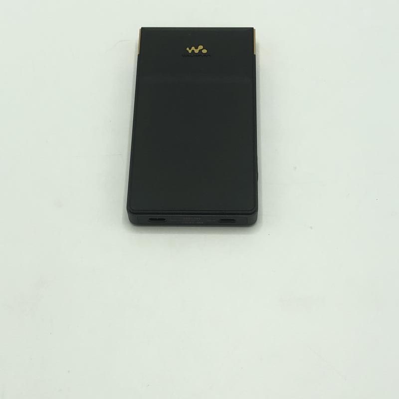 Sony Digital Audio Player Nw-Zx707 64Gb[10]