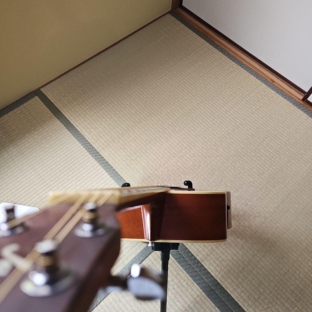 Yamaha Acoustic Guitars James.Jm-600Evas