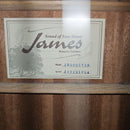 Yamaha Acoustic Guitars James.Jm-600Evas