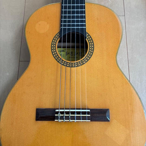 Aria Classical Guitars P-49 1980