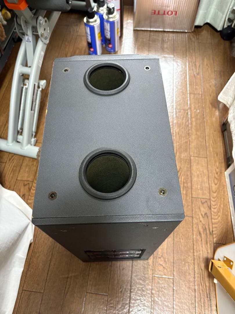 Bose Speaker 501Se