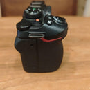 Nikon Mirrorless Interchangeable Lens Cameras Z 30