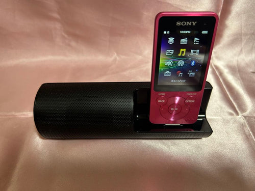 Digital Audio Player Sony Nw-S13
