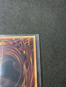 Yu-Gi-Oh! Ocg Duel Monsters (Japanese)