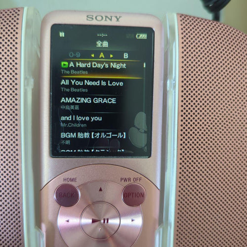 Sony Digital Audio Players