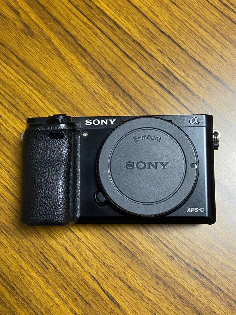 Mirrorless Interchangeable Lens Cameras Sony 6000