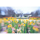 Others (Kt) Lensbaby Sweet 22 Kit L Leica Nd8