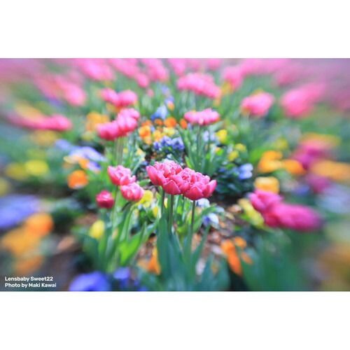 Others (Kt) Lensbaby Sweet 22 Kit L Leica Nd8